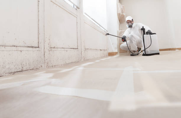 24/7 Emergency Mold Removal experts in Lignum, VA