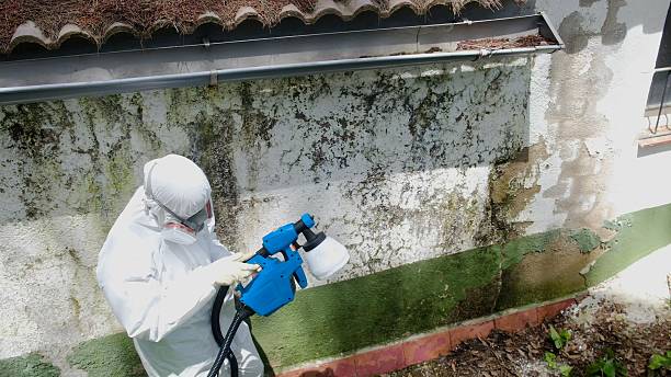 Trusted Mold Testing service in Lignum, VA - Cheap Mold Removal
